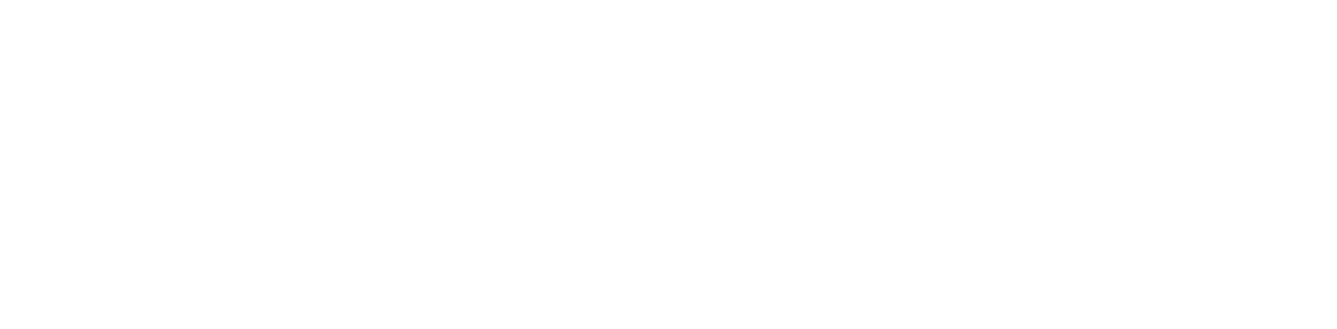 Computer Repair Services